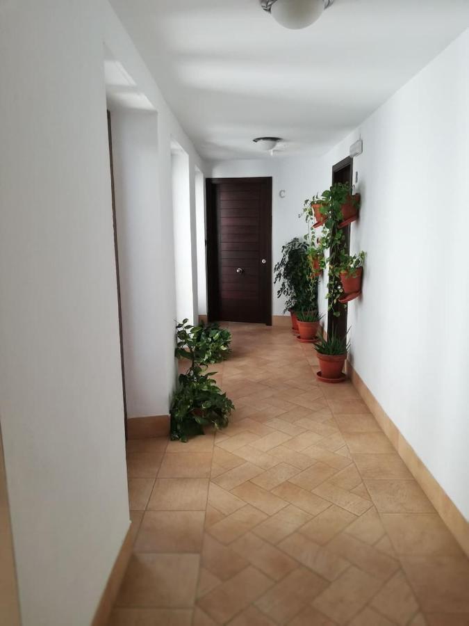 Estudio San Pedro-Corredera Cordoba Ngoại thất bức ảnh